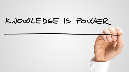 室内十大好养的绿植